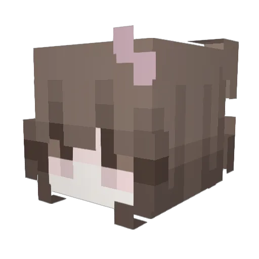 yoos23 Minecraft avatar head, 3D render