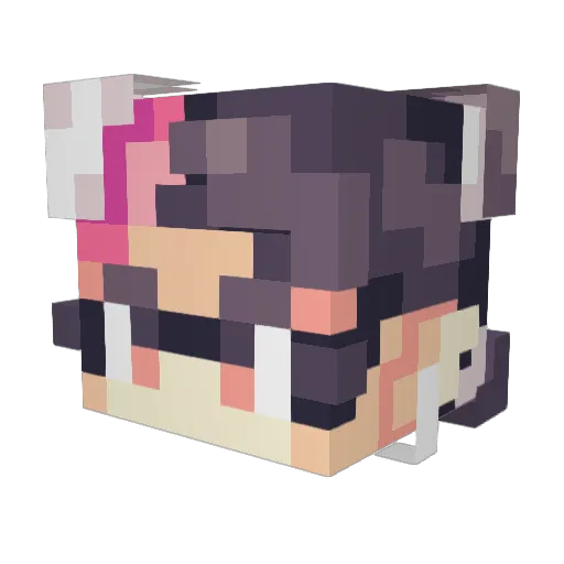 yooseungeon Minecraft avatar head, 3D render