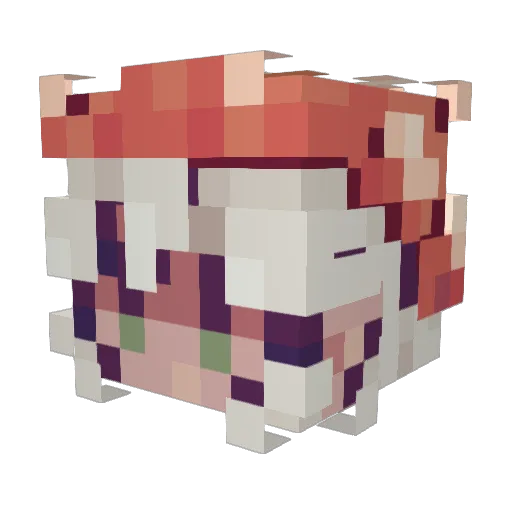yooska Minecraft avatar head, 3D render
