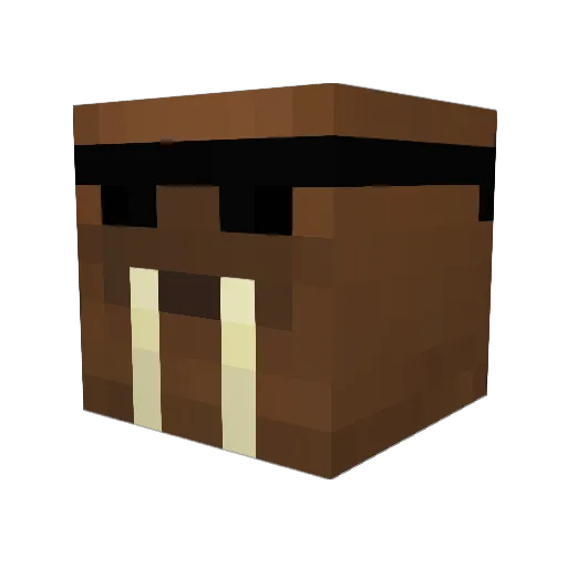 yopahu Minecraft avatar head, 3D render