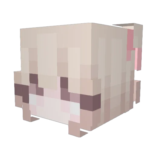 yopiyo2 Minecraft avatar head, 3D render