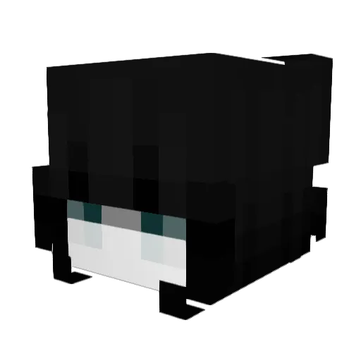yoquierosingar Minecraft avatar head, 3D render