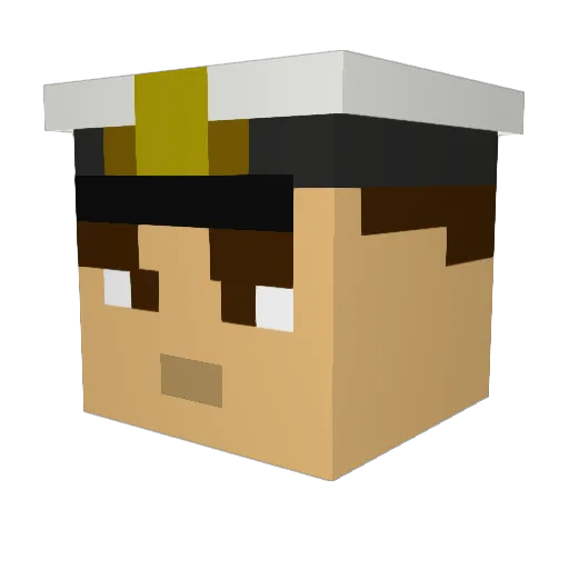 yorkie7 Minecraft avatar head, 3D render
