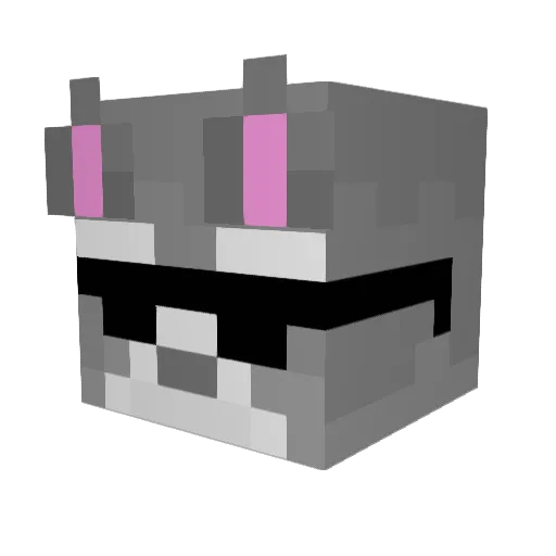 yorkyasha Minecraft avatar head, 3D render
