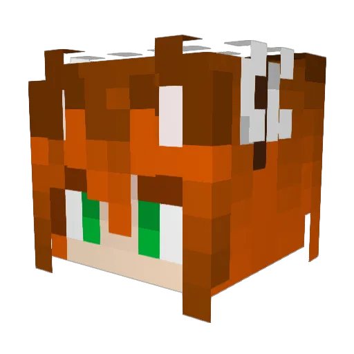 you260sans Minecraft avatar head, 3D render
