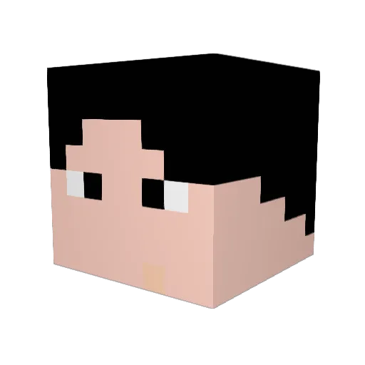 you45 Minecraft avatar head, 3D render
