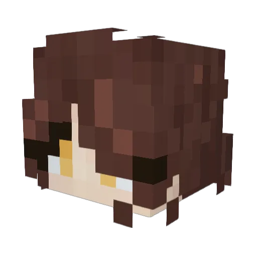 you_ang Minecraft avatar head, 3D render