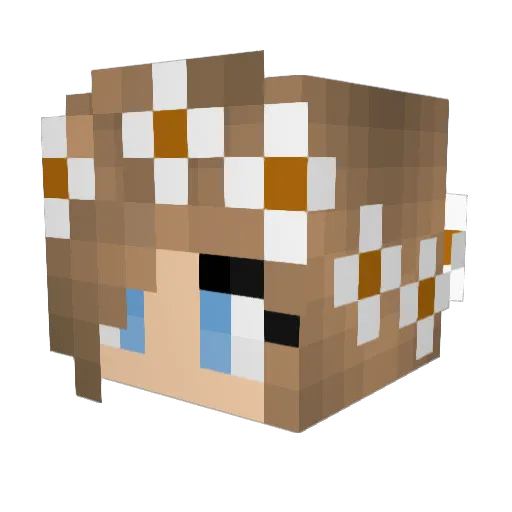 you_better Minecraft avatar head, 3D render