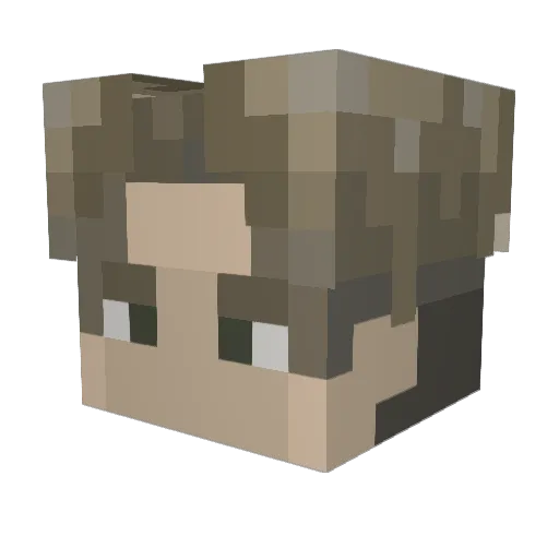 you_lied Minecraft avatar head, 3D render