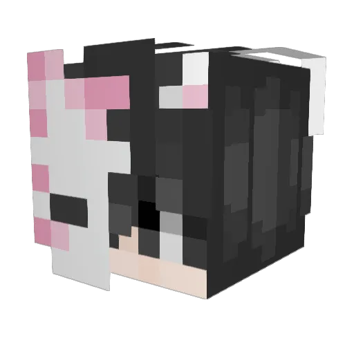 you_rsunlight Minecraft avatar head, 3D render