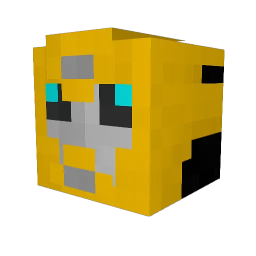 youcantcme96 Minecraft avatar head, 3D render