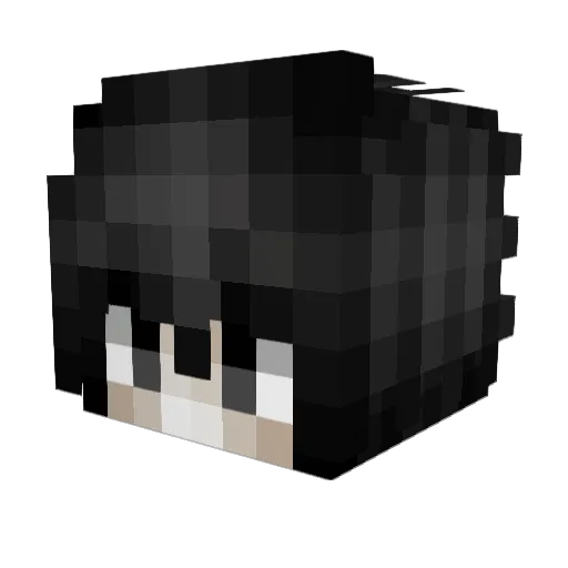 yougetaweb Minecraft avatar head, 3D render