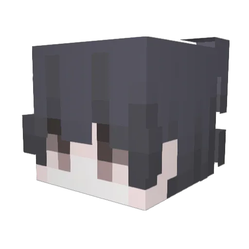 youlalls Minecraft avatar head, 3D render