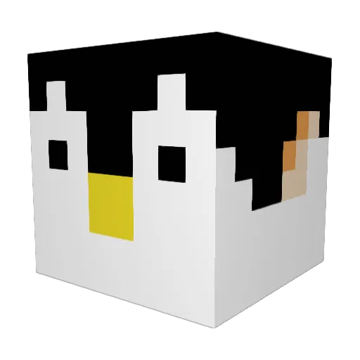 youn_x2 Minecraft avatar head, 3D render