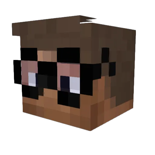youngSchrodinger Minecraft avatar head, 3D render