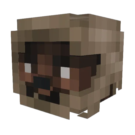 young_dudus Minecraft avatar head, 3D render