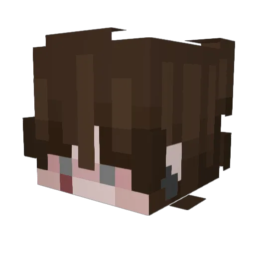 young_timbo Minecraft avatar head, 3D render