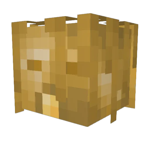 youngchair Minecraft avatar head, 3D render