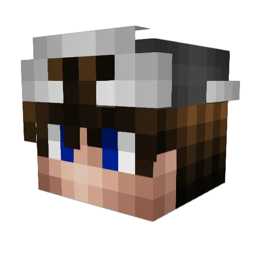 youngcovid Minecraft avatar head, 3D render