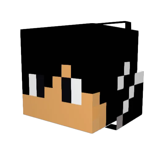 youngishgamer Minecraft avatar head, 3D render