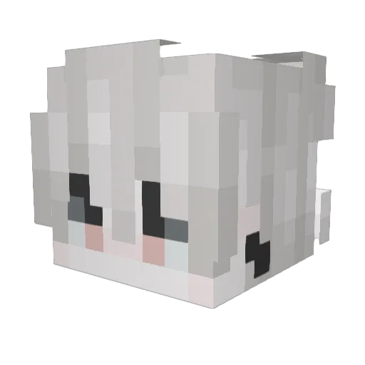 youngjun2190 Minecraft avatar head, 3D render