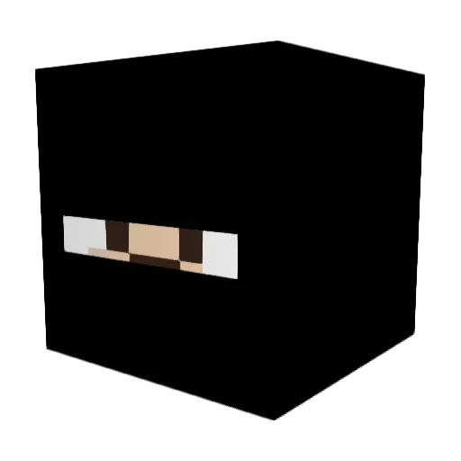 younglad345 Minecraft avatar head, 3D render