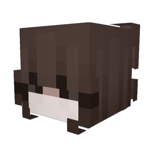 youngseoo_ Minecraft avatar head, 3D render
