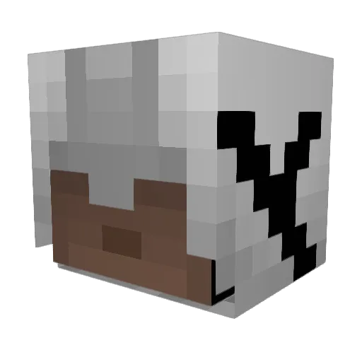 youngthomas20 Minecraft avatar head, 3D render