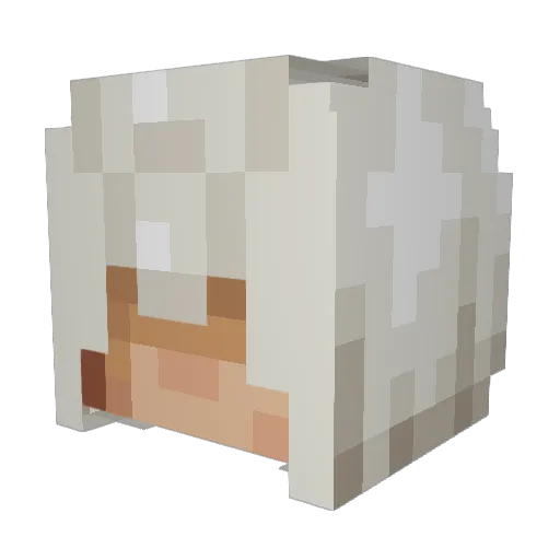 youngyjustscored Minecraft avatar head, 3D render
