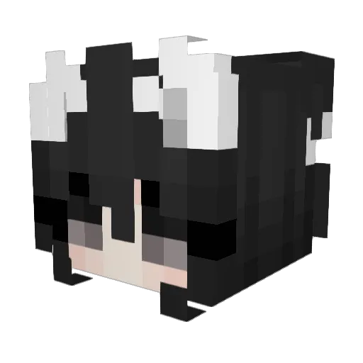 youngzwitsal Minecraft avatar head, 3D render