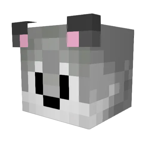 your6QwQ Minecraft avatar head, 3D render