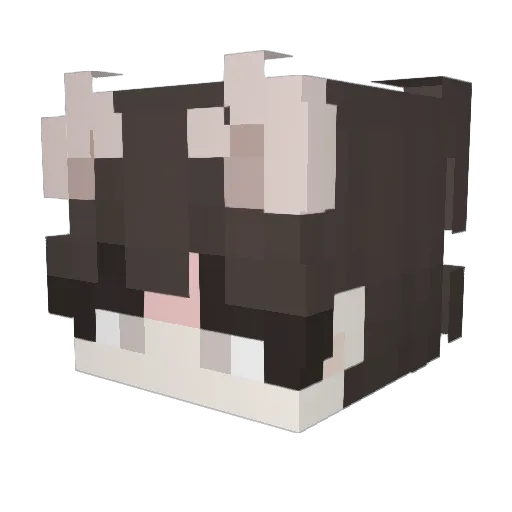 your_averagegay Minecraft avatar head, 3D render