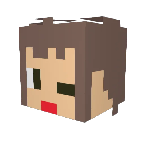your_dye Minecraft avatar head, 3D render