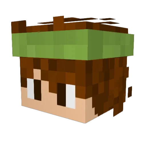 your_tempo Minecraft avatar head, 3D render