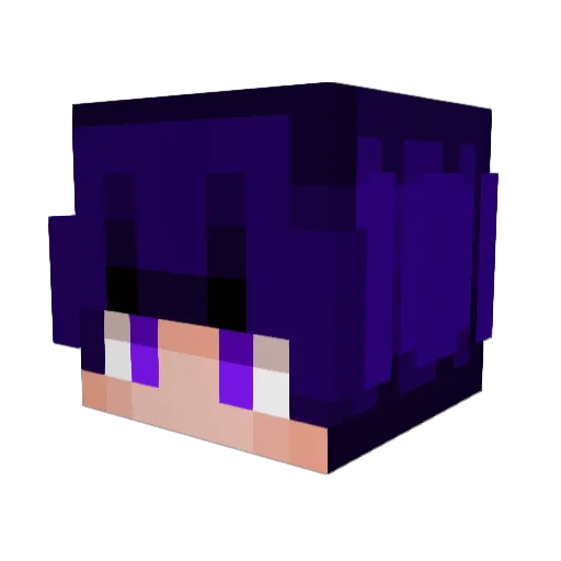yourandom23 Minecraft avatar head, 3D render