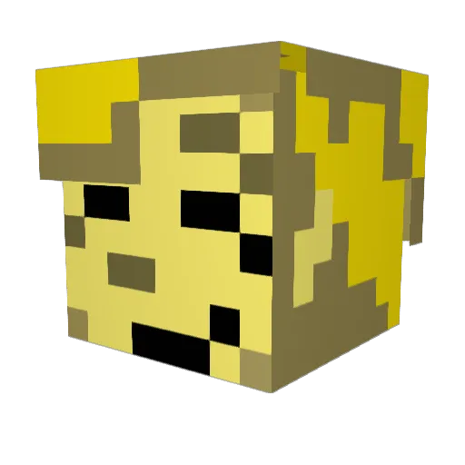 yourdadsbbf Minecraft avatar head, 3D render