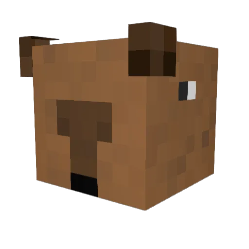 youremom69 Minecraft avatar head, 3D render