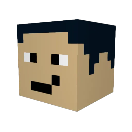 yourface43 Minecraft avatar head, 3D render