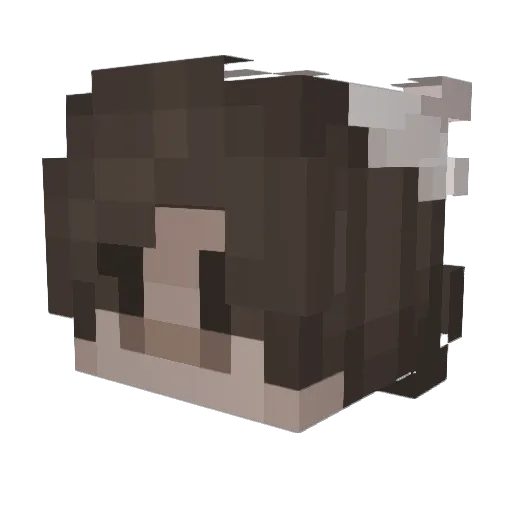 yourgaybuddy Minecraft avatar head, 3D render