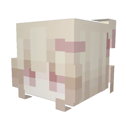yourlosingtoagir Minecraft avatar head, 3D render