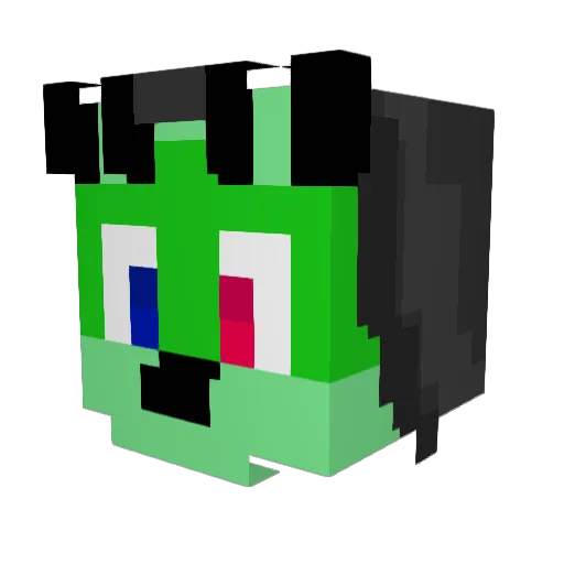 yourmomFX101 Minecraft avatar head, 3D render