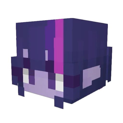 yournotfunni Minecraft avatar head, 3D render