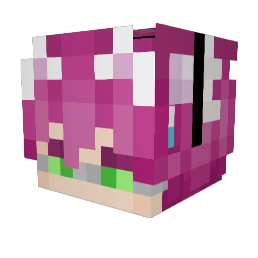 yourpet Minecraft avatar head, 3D render
