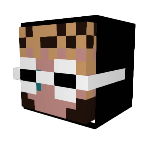 yourppispoggers Minecraft avatar head, 3D render