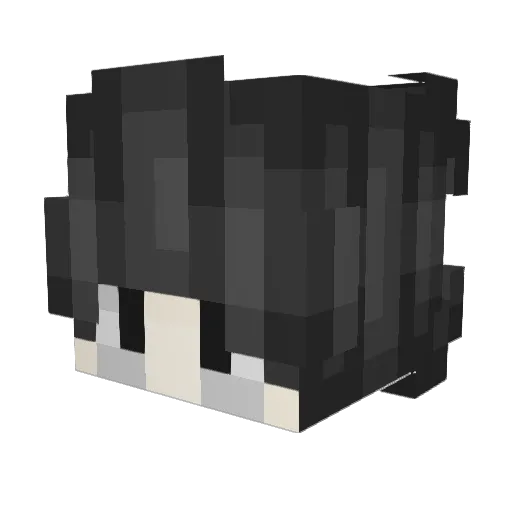 yourself07 Minecraft avatar head, 3D render