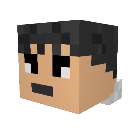 yourself5345 Minecraft avatar head, 3D render