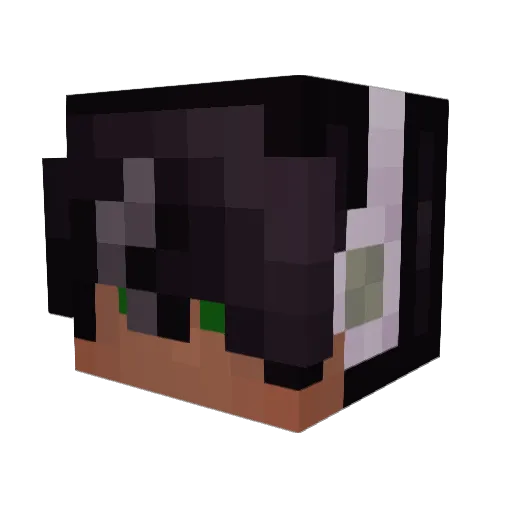 yourwilson Minecraft avatar head, 3D render