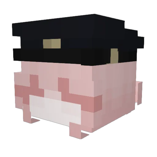 youshouldfrquit Minecraft avatar head, 3D render
