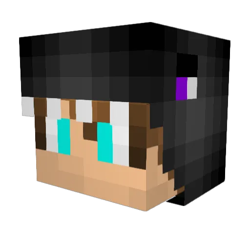 youtobe295 Minecraft avatar head, 3D render