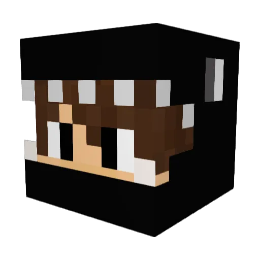 youtubeers Minecraft avatar head, 3D render